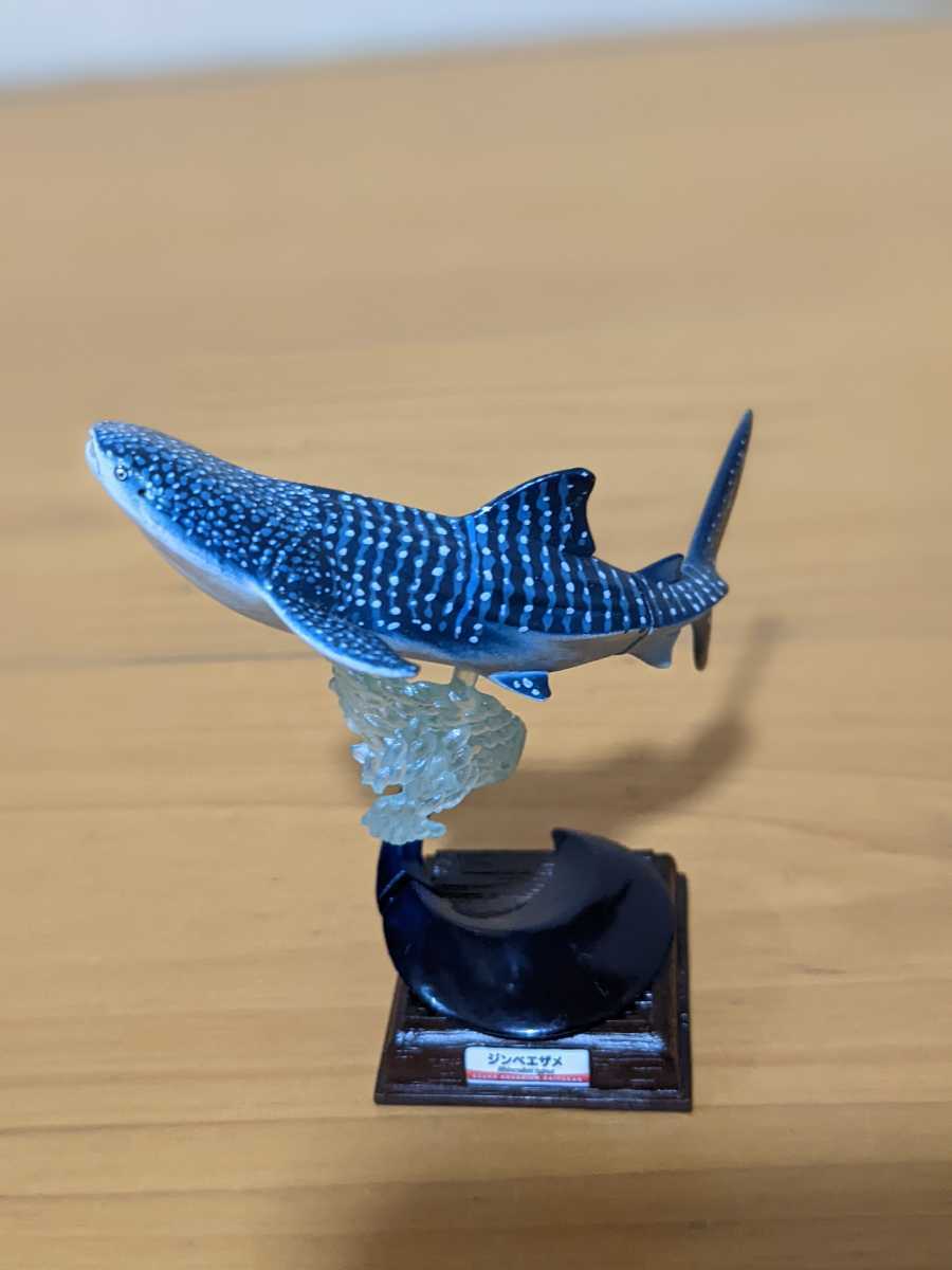 Yahoo!オークション - 折れ ネイチャーテクニカラー 海遊館水族館 ミュ