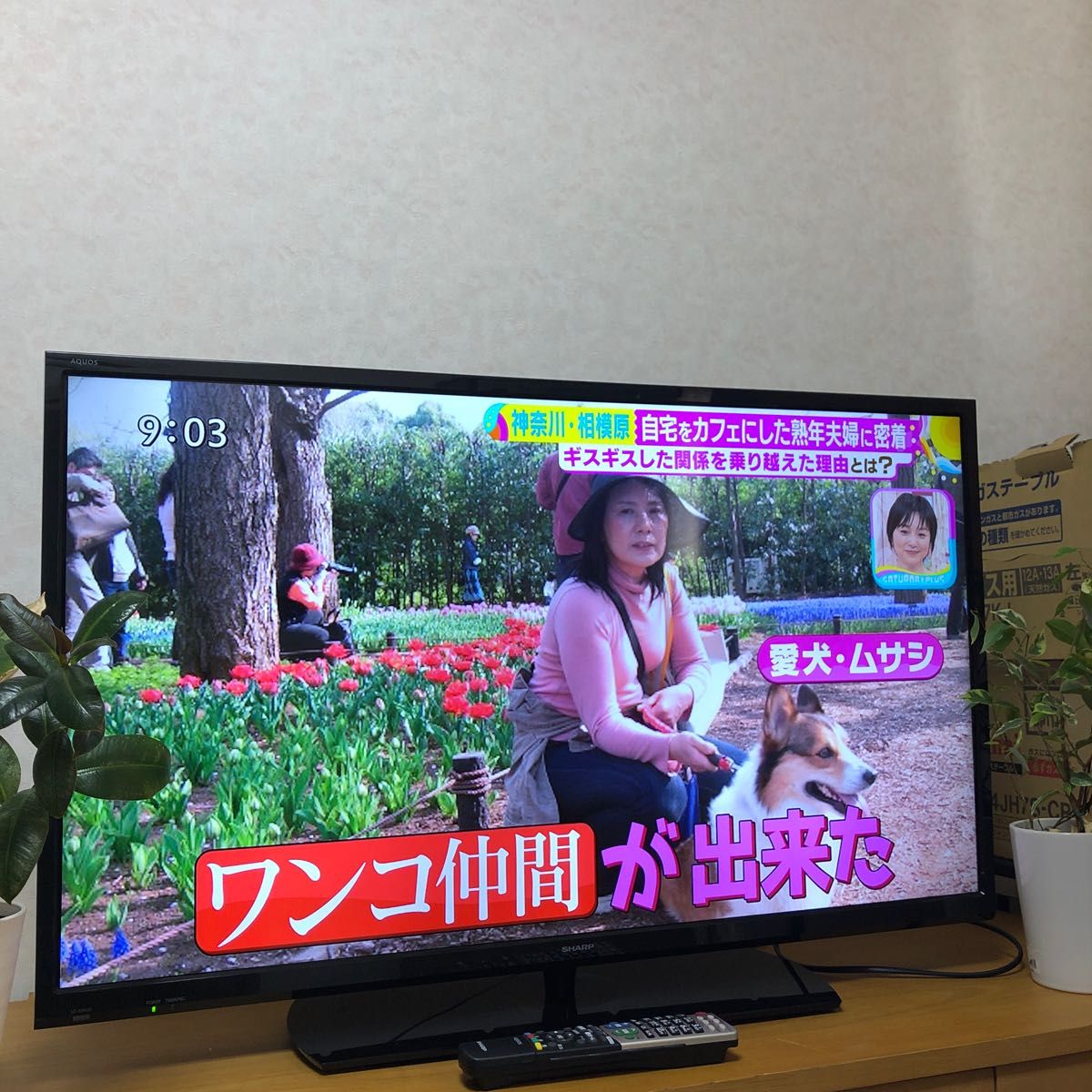 シャープ 40V型 液晶 テレビ AQUOS LC-40H30 裏番組録画対応 送料無料