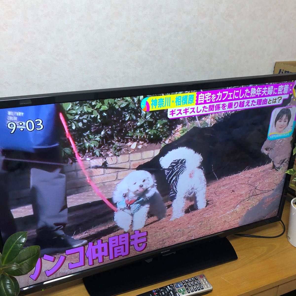 シャープ 40V型 液晶 テレビ AQUOS LC-40H30 裏番組録画対応 送料無料