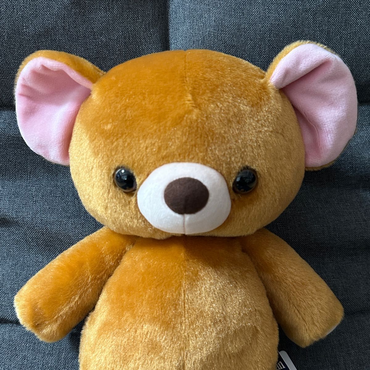 ディズニーストア テディベア マイケル ぬいぐるみ ピーターパン