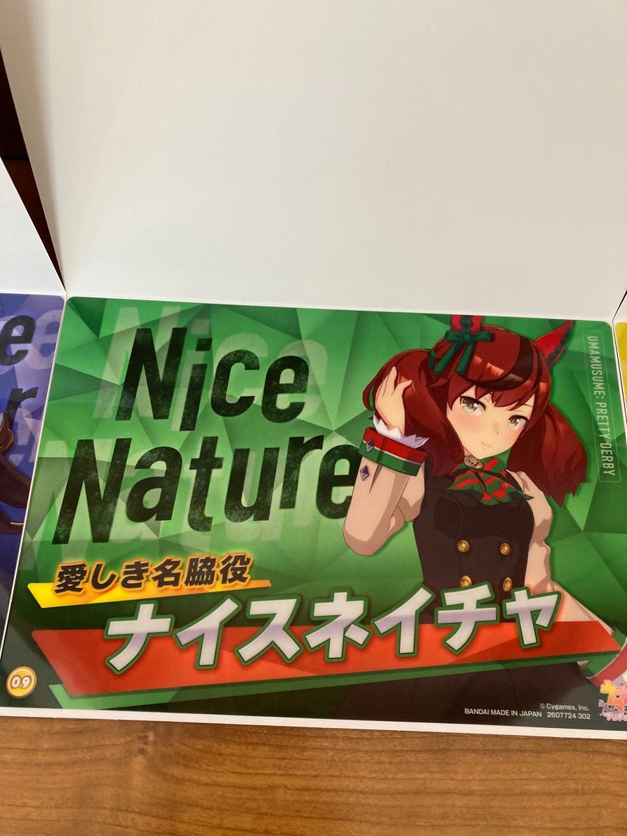 ナイスネイチャ 非売品ポスター ナイスネイチャ 非売品ポスター 【公式