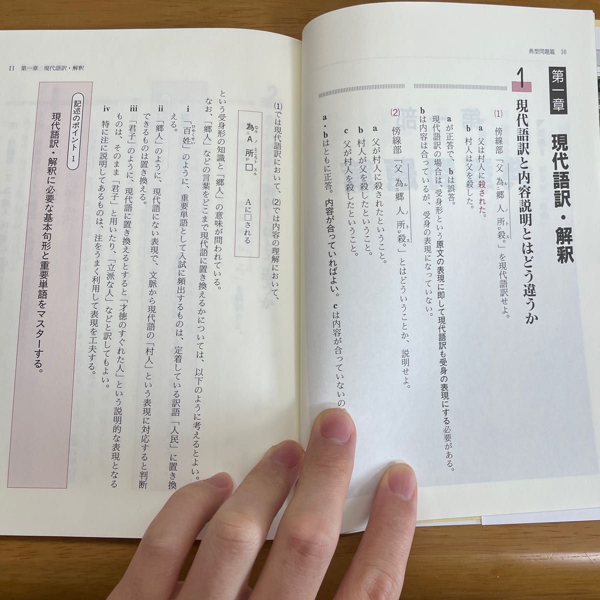 得点奪取漢文 記述対策 （河合塾SERIES） （改訂版） 天野成之