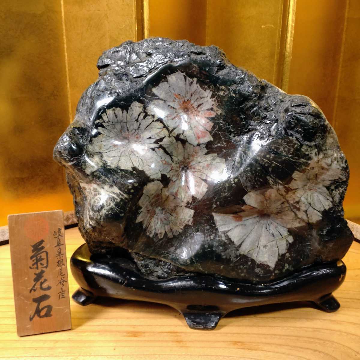 Yahoo!オークション - 菊花石 岐阜県根尾谷産14.6kg 鑑賞石 観賞石 水