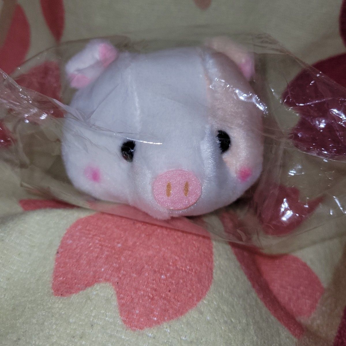 SHINADA 大人気！こぶたのブリッツ (2004) SHINADA 大人気！こぶたの