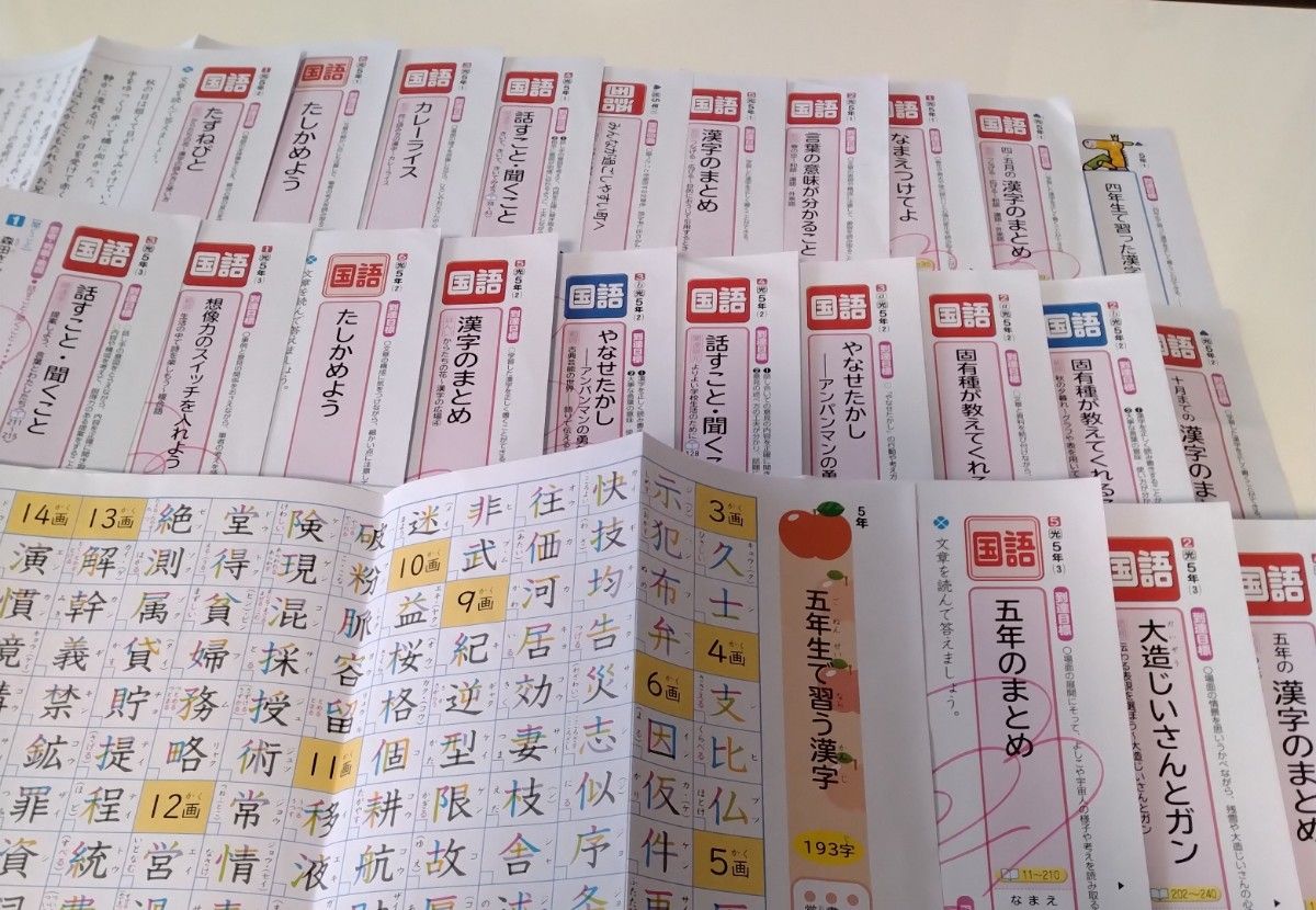 国語 5年生 1年分 カラーテスト 令和4年度 最新 日本標準｜Yahoo