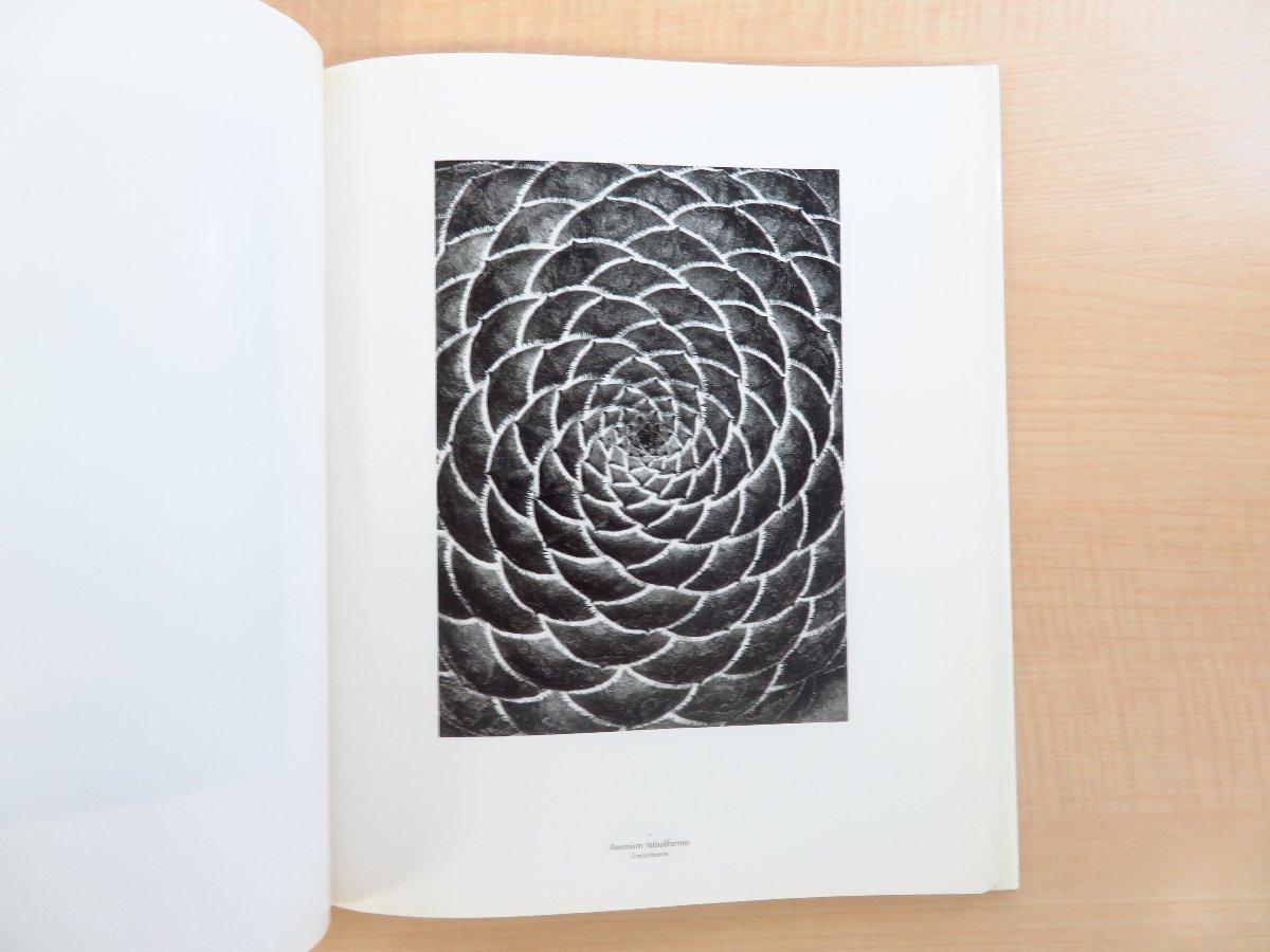 Albert Renger-Patzsch『Die Welt Der Pflanze』1998年Cantz刊 20世紀