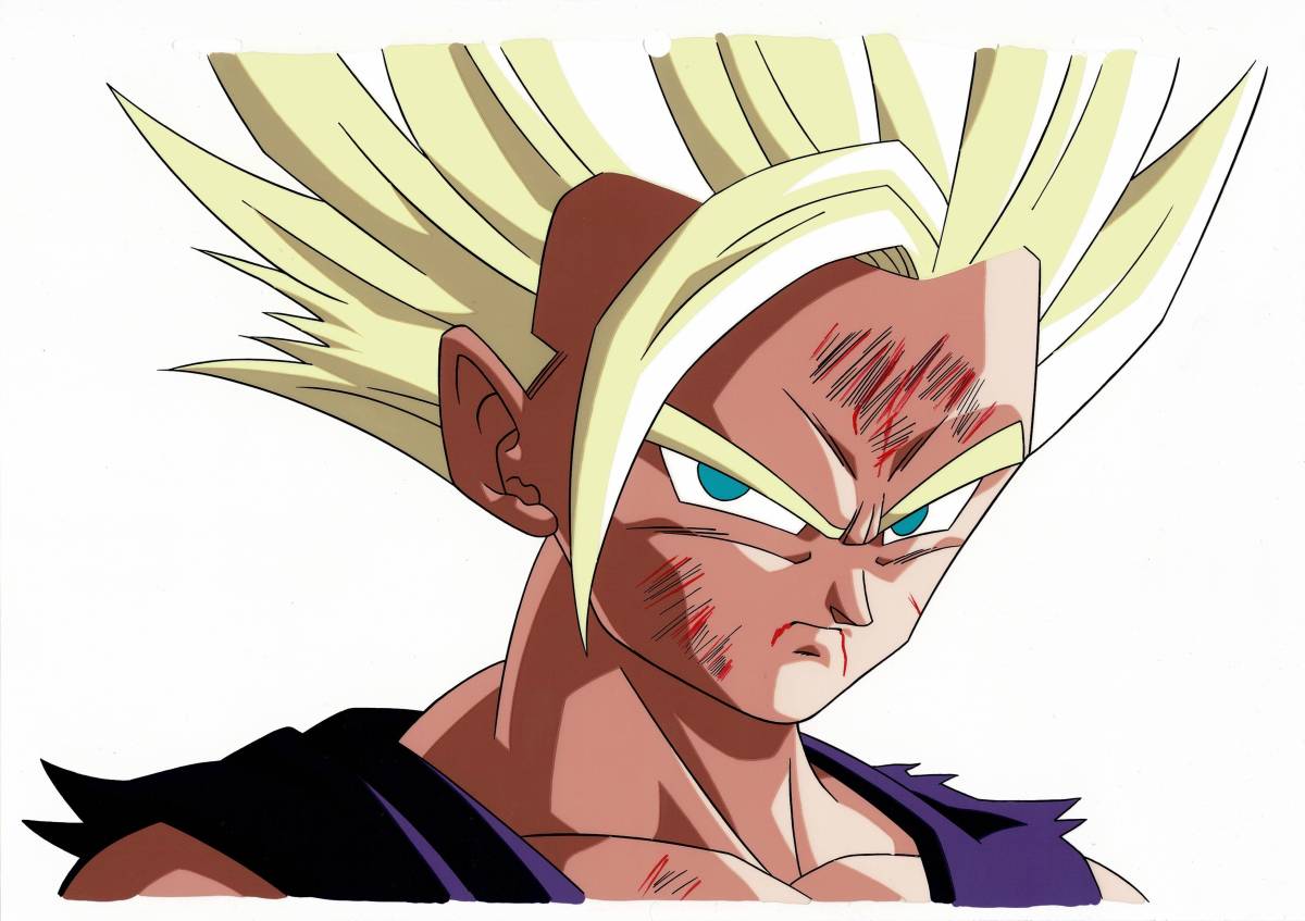 Yahoo!オークション - ドラゴンボール 孫悟飯 FAN セル画【A274】