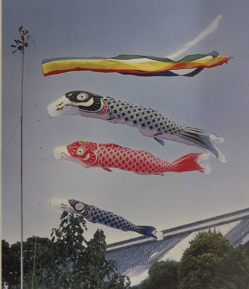 Yahoo!オークション - 鯉のぼり 単品 7m 赤鯉 送料無料