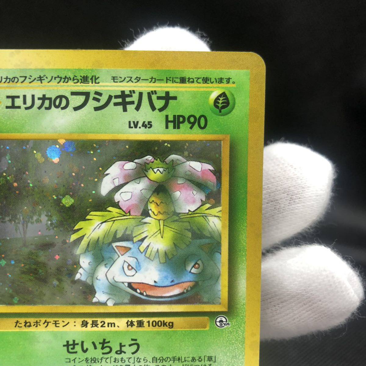 ポケモンカード 旧裏面 旧裏 エリカのフシギバナ キラ｜Yahoo!フリマ