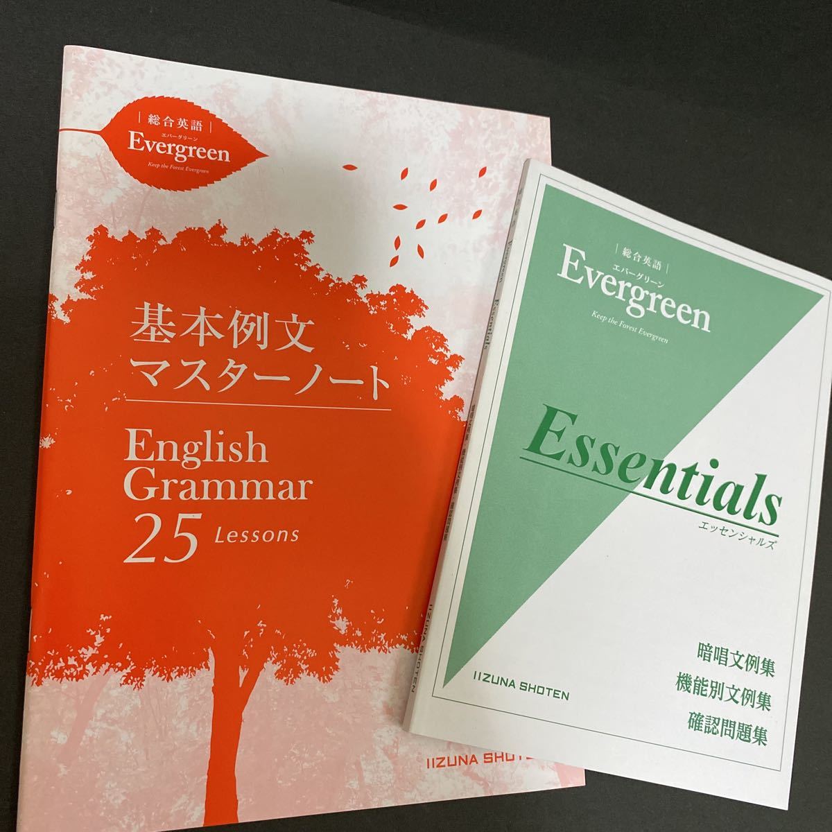 総合英語Evergreen English Grammar 25Lessons ワークブック 基本例文