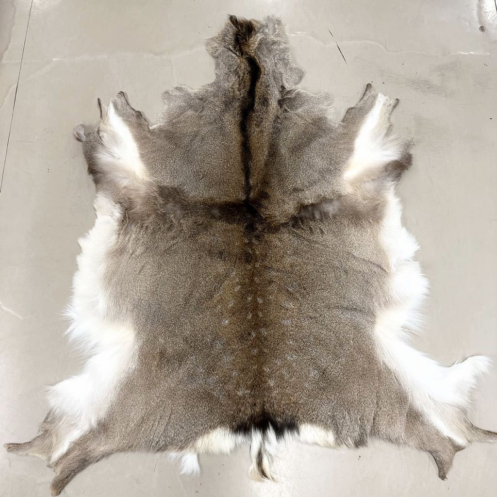 鹿革 ラグマット エゾシカ 蝦夷鹿 敷物 鹿皮オス 冬毛 エゾシカ 毛皮