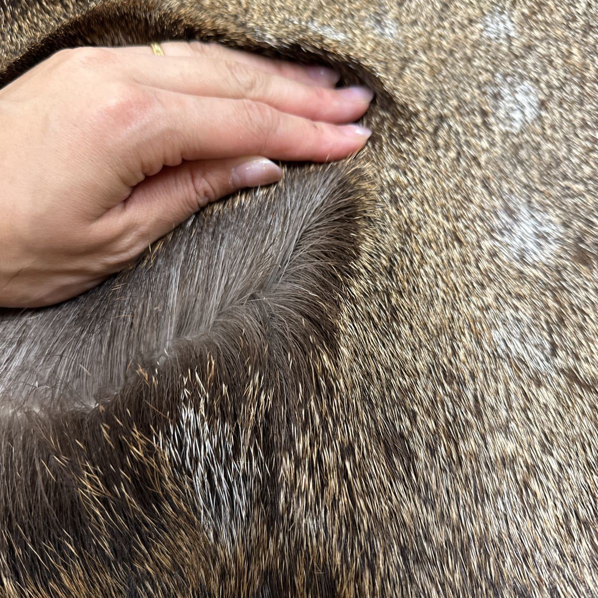 鹿革 ラグマット エゾシカ 蝦夷鹿 敷物 鹿皮オス 冬毛 エゾシカ 毛皮