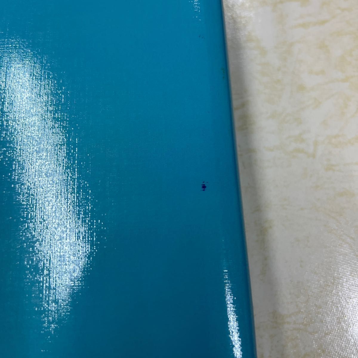 アプライドキネシオロジーシノプシス 2 D．S．ウォルサー 栗原 修