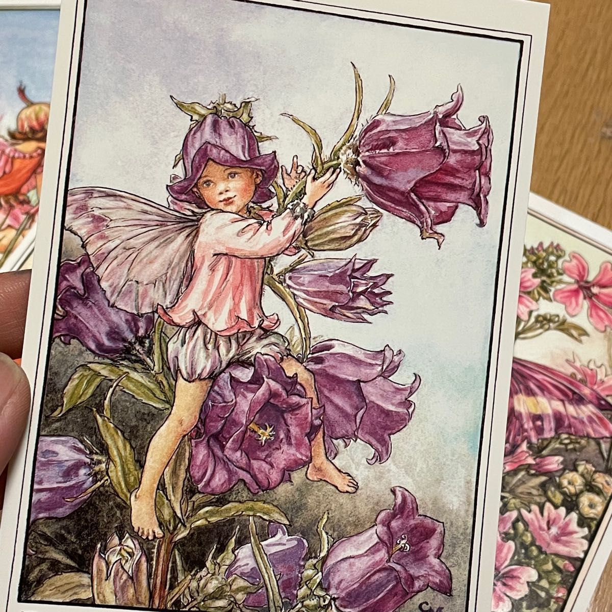 シシリー・メアリー・バーカー ポストカード『フラワーフェアリーズ』5