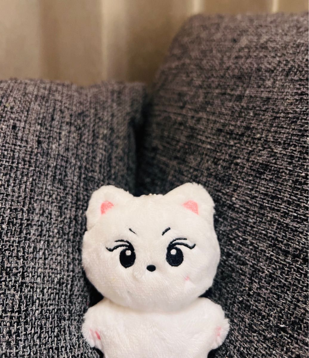 ENHYPEN ジョンウォン ぬいぐるみ 10cm ドール エナプ｜Yahoo!フリマ