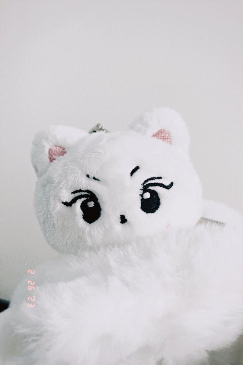 ENHYPEN ジョンウォン ぬいぐるみ 10cm ドール エナプ｜Yahoo!フリマ