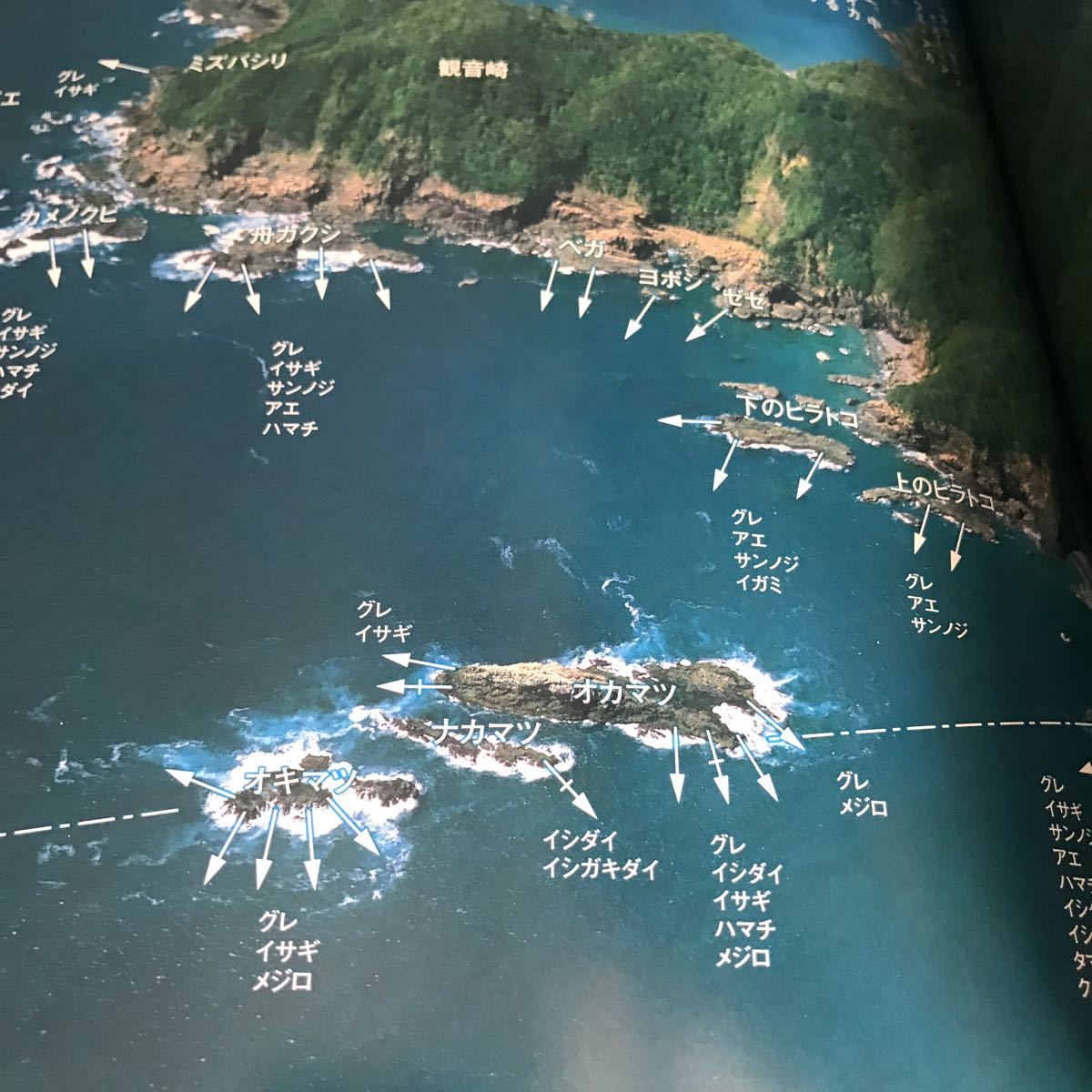 高知の海釣りのすべて 高知・南予の海釣り空撮230ポイント 改訂新版