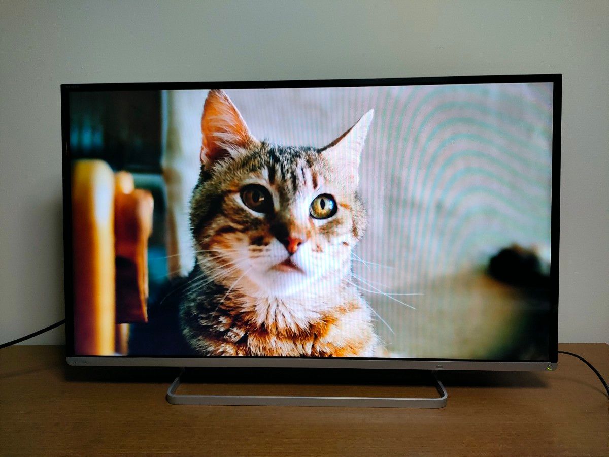 東芝 REGZA 47J8 47インチ大画面 液晶テレビ 2番組同時録画可能 しかも