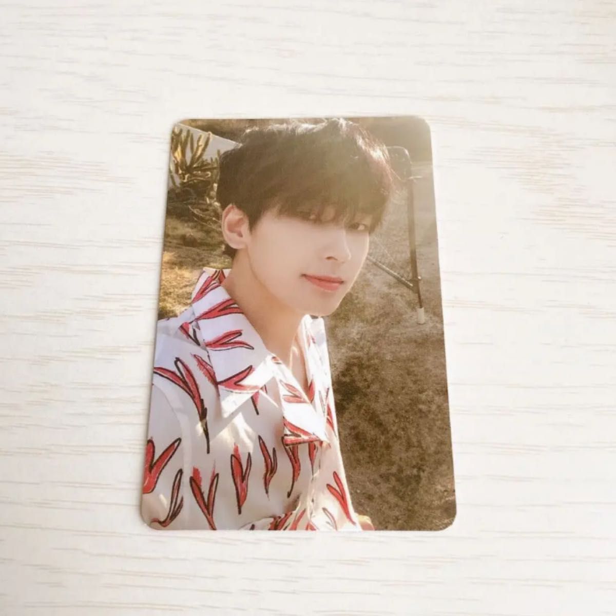 SEVENTEEN ヘンガレ ウォヌ トレカ｜Yahoo!フリマ（旧PayPayフリマ）