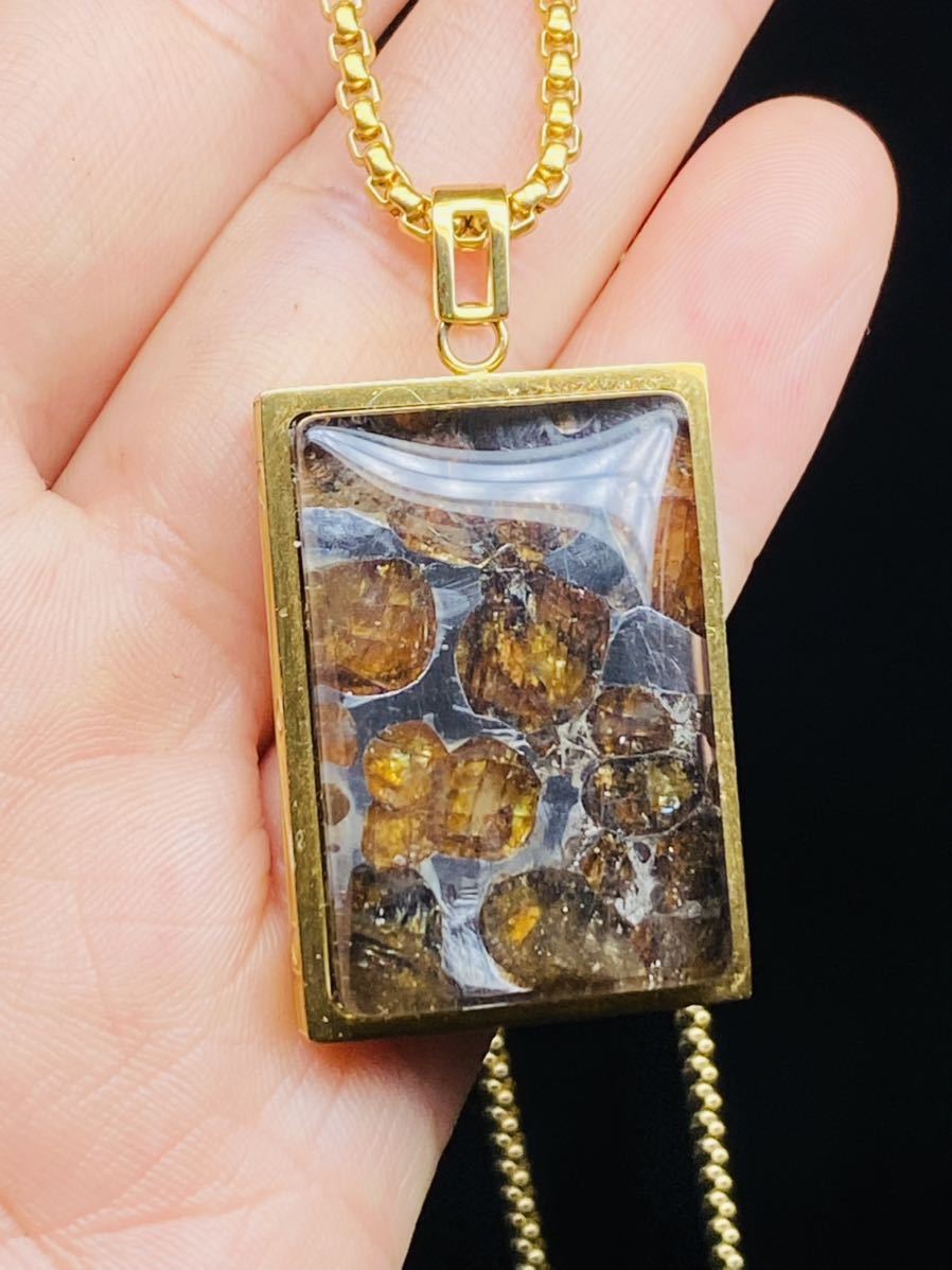 鑑別書付き】パラサイト隕石 隕石 宇宙パワー パラサイト隕石