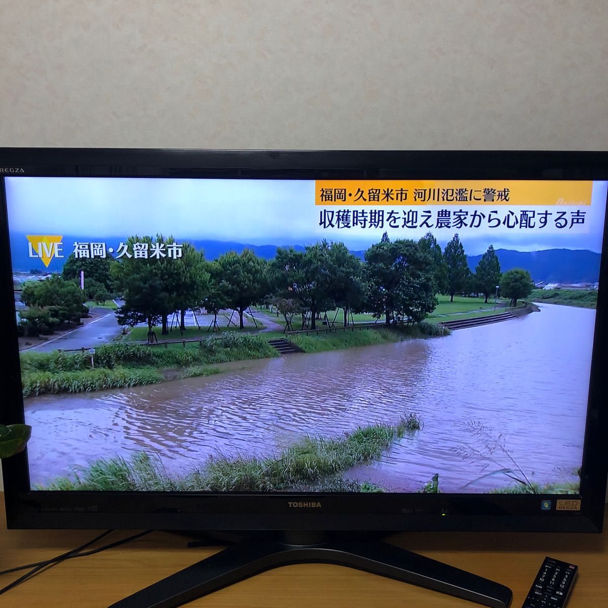 TOSHIBA LED REGZA ZG1 42型 液晶テレビ 送料無料｜Yahoo!フリマ（旧