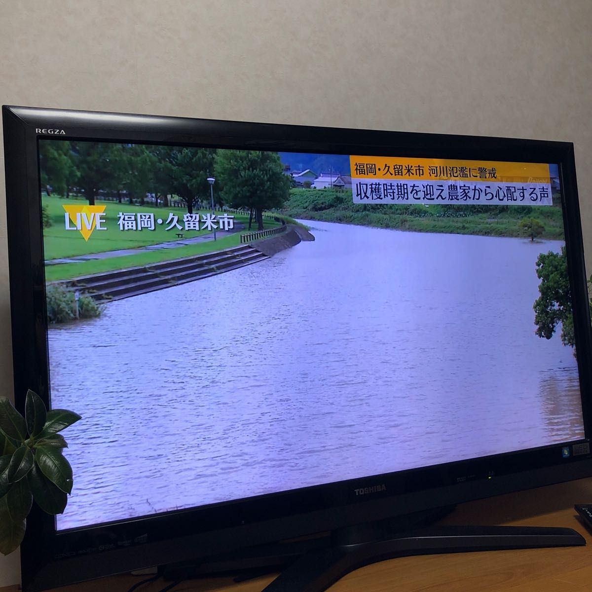 TOSHIBA LED REGZA ZG1 42型 液晶テレビ 送料無料｜Yahoo!フリマ（旧