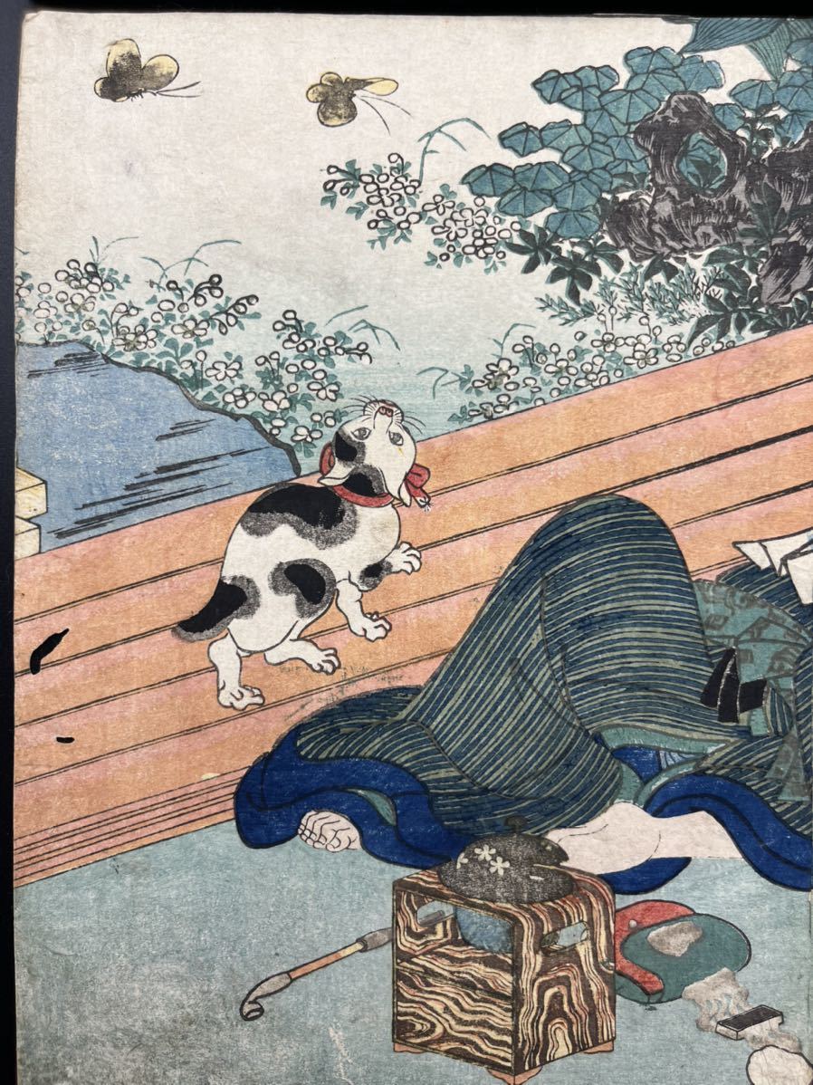樂淘letao－江戸期春画歌川国芳「猫」大判真作錦絵浮世絵和本艶本枕絵
