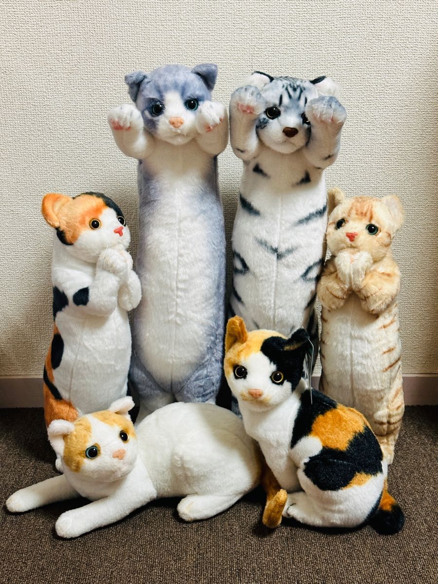 たっちいZOO にゃんこ リアル猫 ぬいぐるみ 6体 まとめ売り｜Yahoo