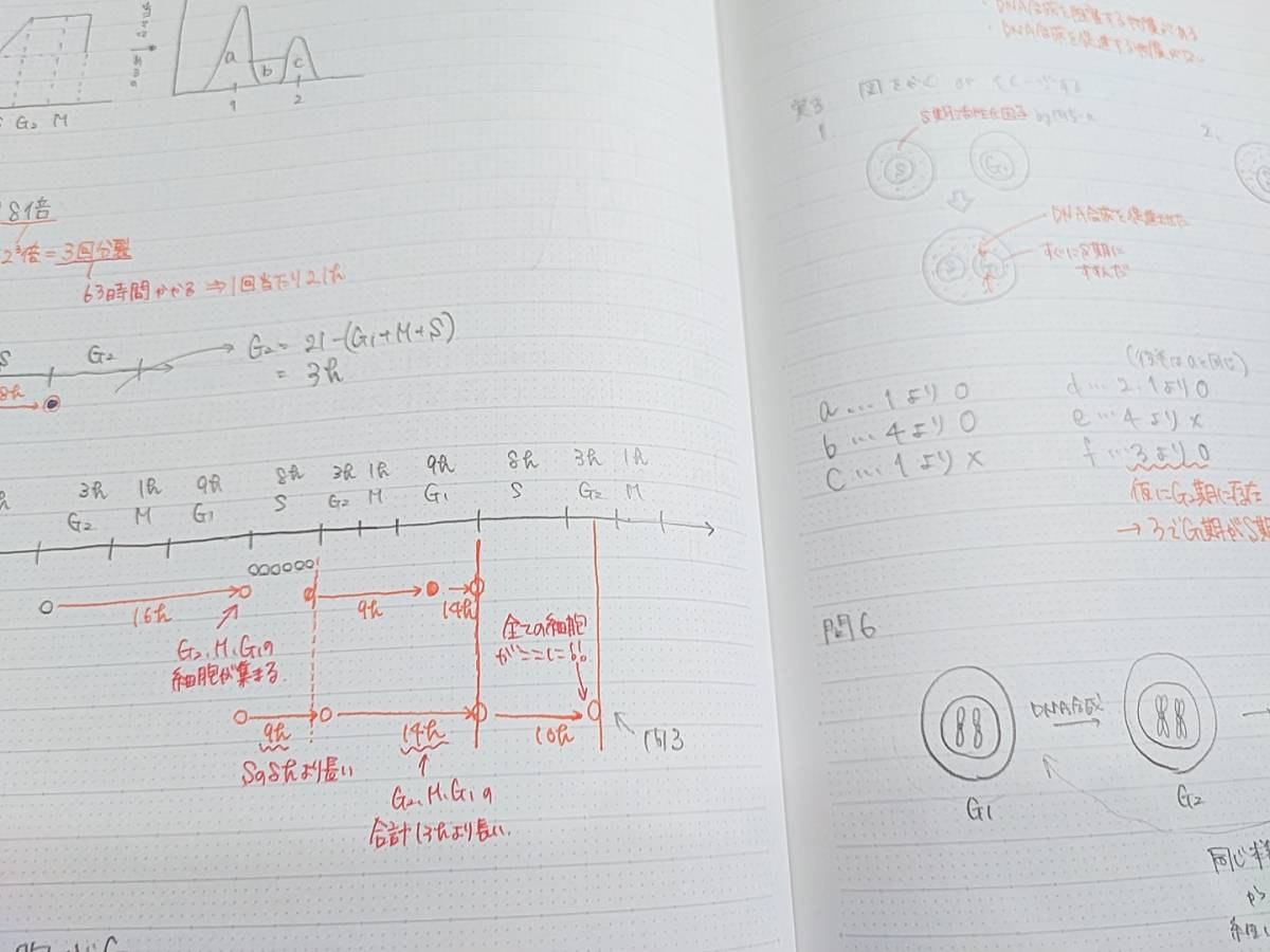 駿台 市谷校舎 医学部上位クラス 生物S Part1・2 テキスト・板書ノート
