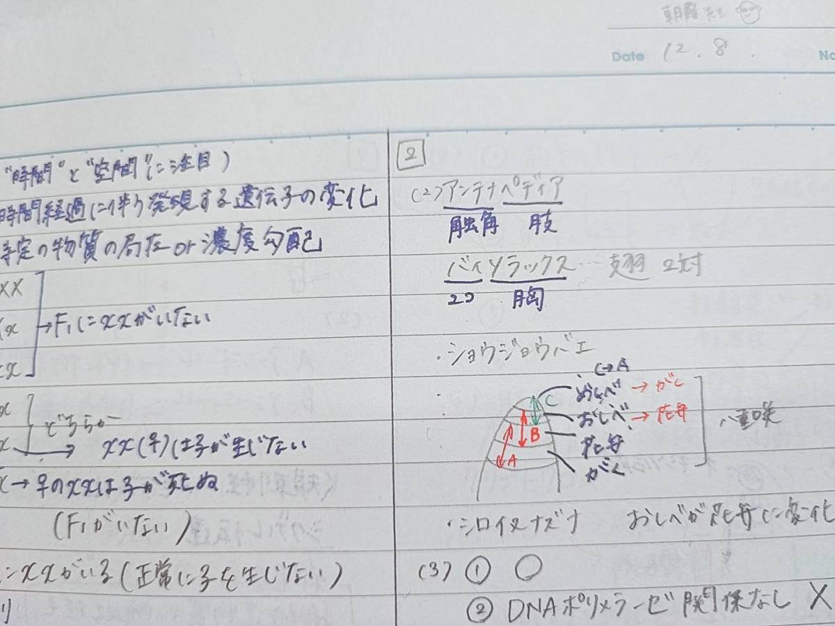 駿台 朝霞先生 締切 冬期 生物 トリプルミラクル# テキスト・講義問題