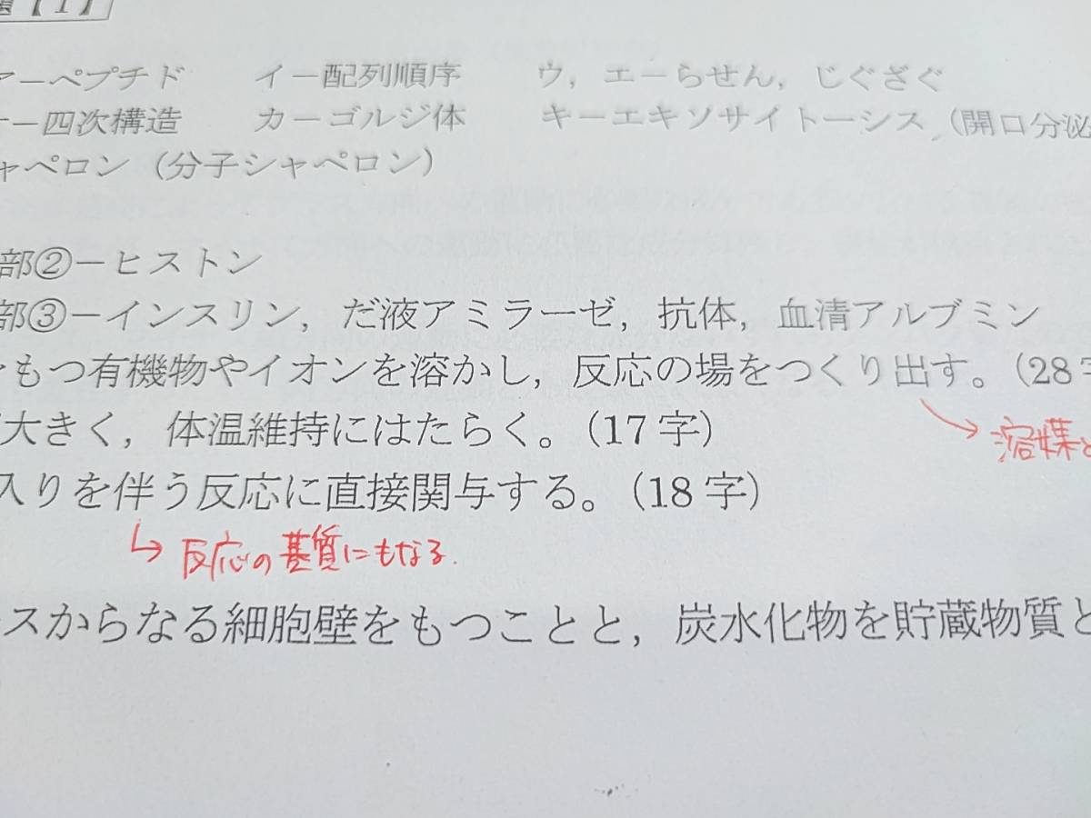 駿台 市谷校舎 医学部上位クラス 生物S Part1・2 テキスト・板書ノート