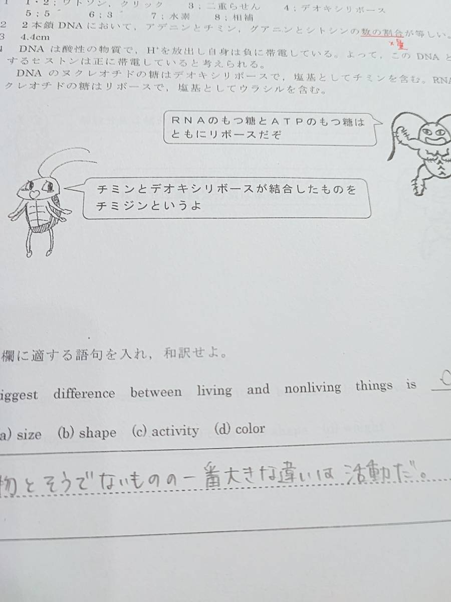 駿台 市谷校舎 医学部上位クラス 生物S Part1・2 テキスト・板書ノート