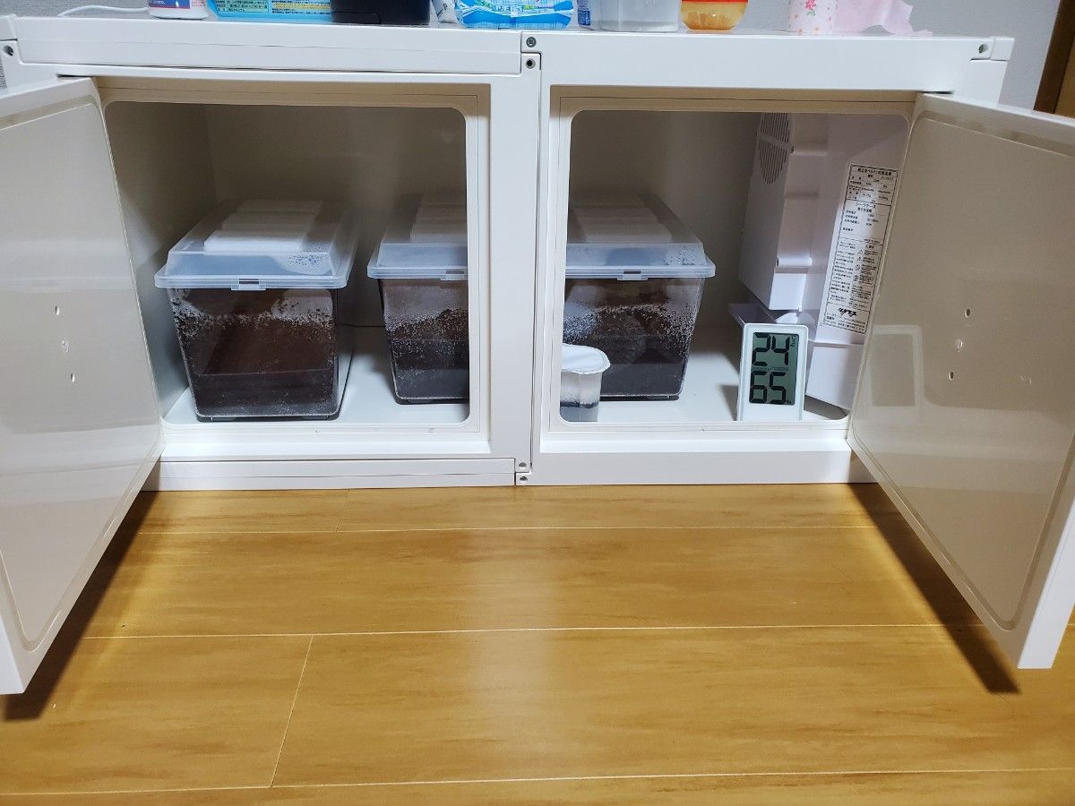 冷やし虫家 ヘラクレス飼育 小型ファン シーラケース｜Yahoo!フリマ