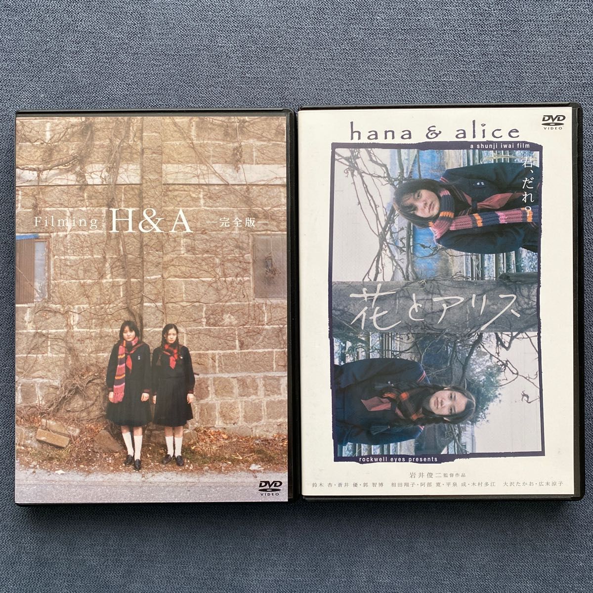 花とアリス 特別版 鈴木杏 蒼井優 郭智博 岩井俊二 DVD｜Yahoo!フリマ
