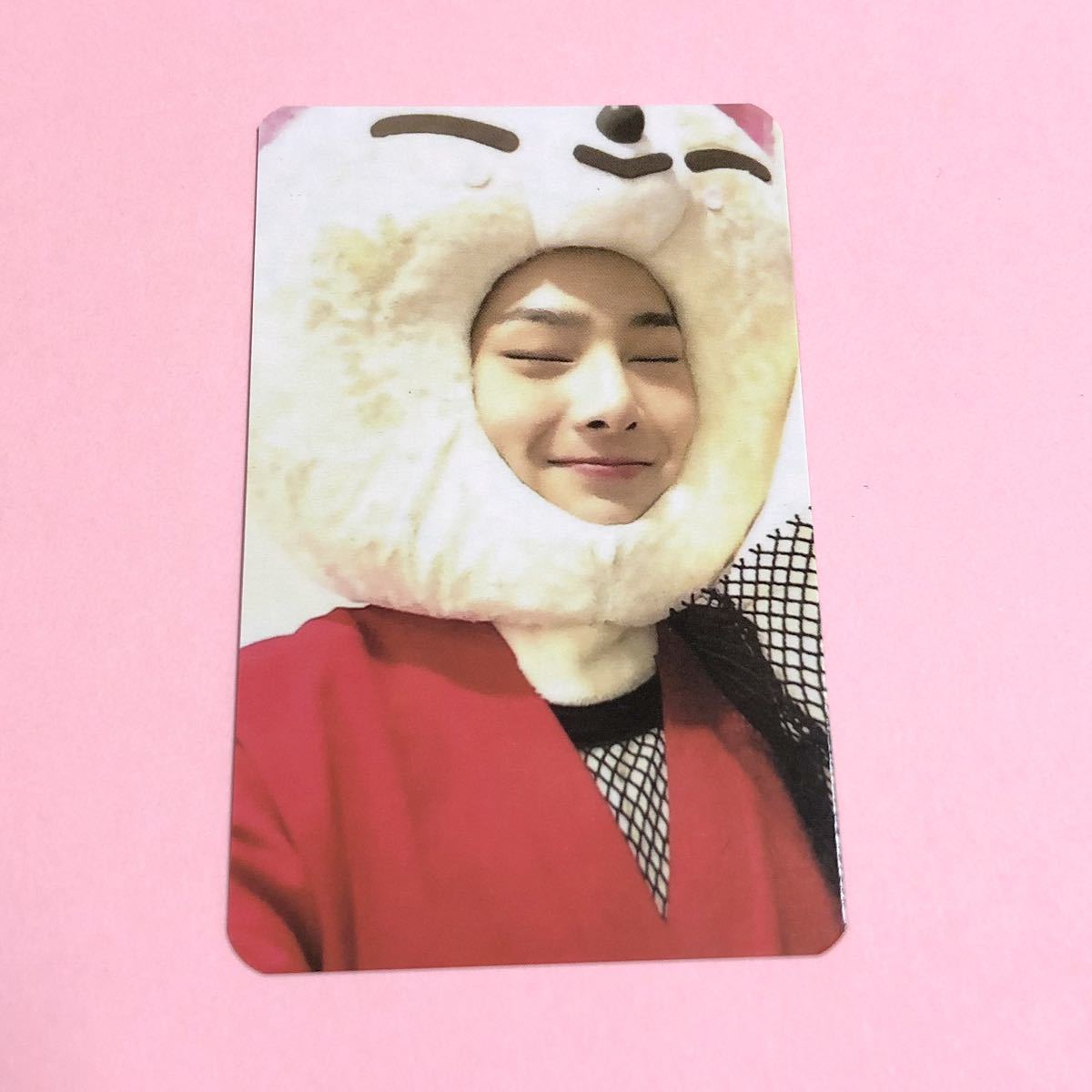 Stray Kids SKZOO noeasy アイエン トレカ フォクシニー｜Yahoo!フリマ