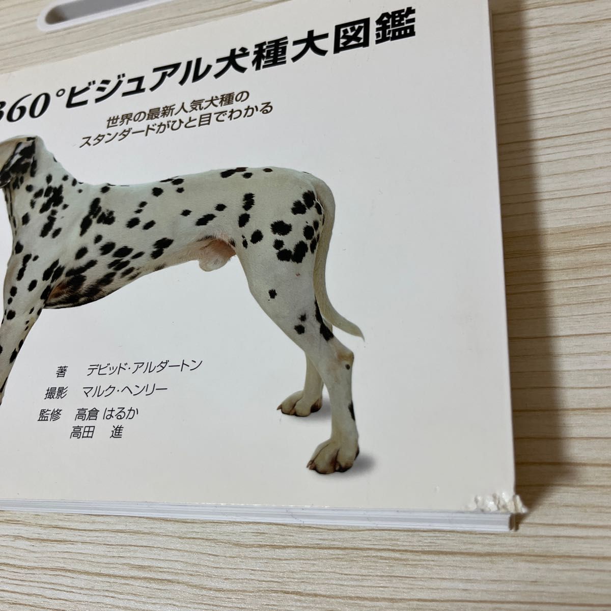 360度 ビジュアル 犬種 大図鑑｜Yahoo!フリマ（旧PayPayフリマ）