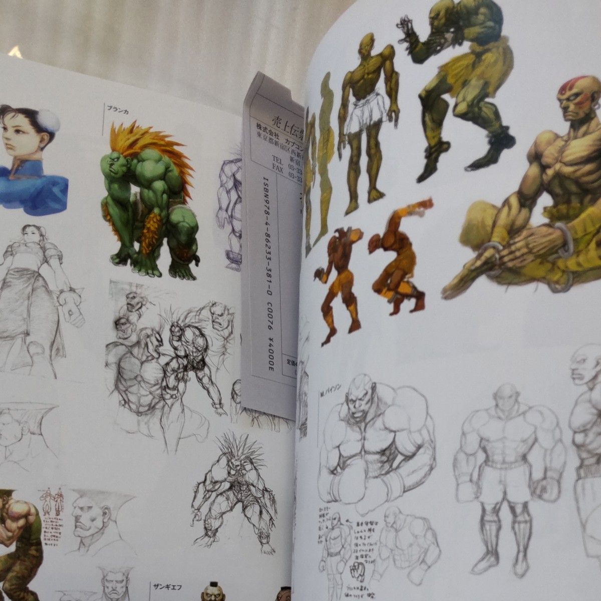 ストリートファイターアートワークス極 増補改訂版 （書籍） [カプコン