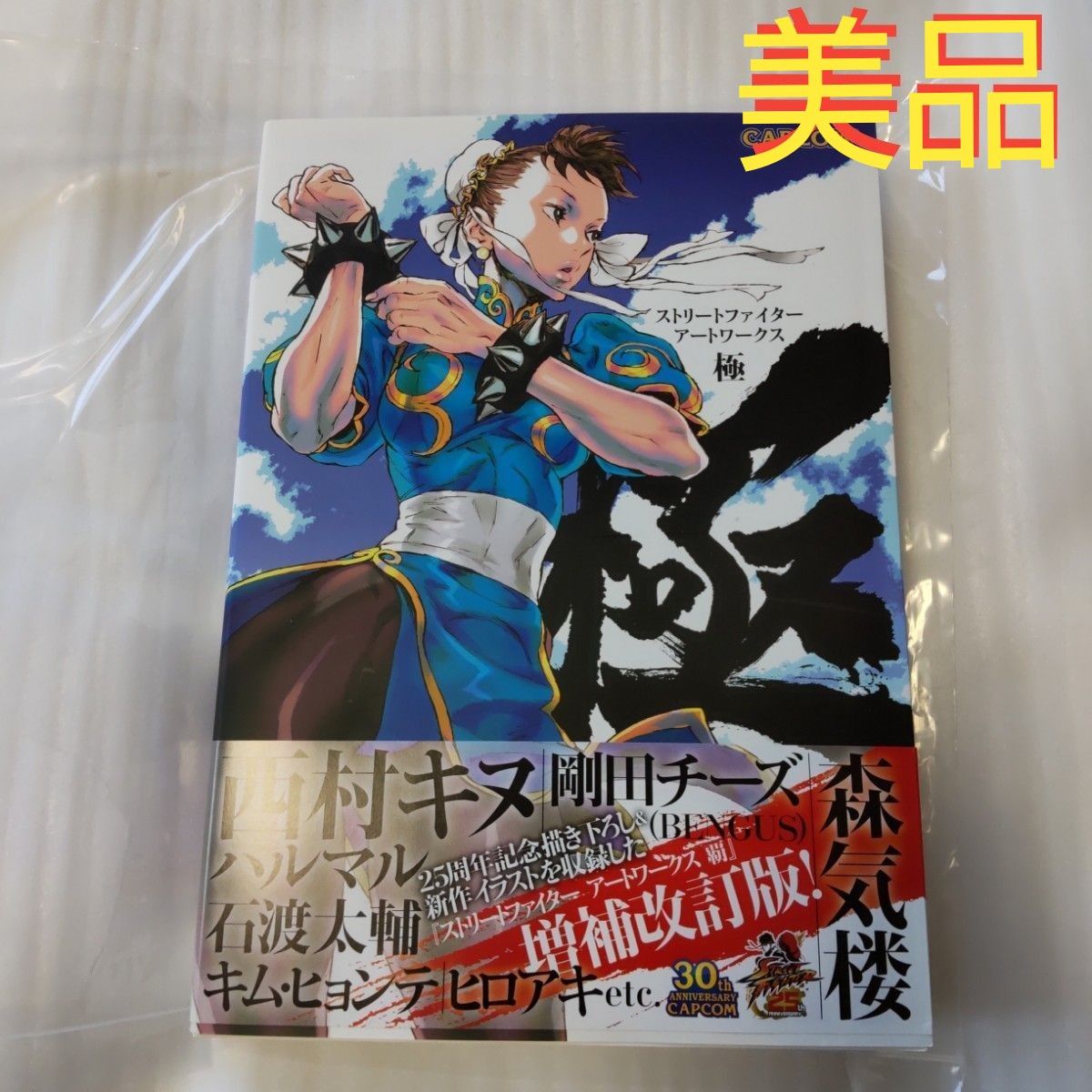 ストリートファイターアートワークス極 増補改訂版 （書籍） [カプコン