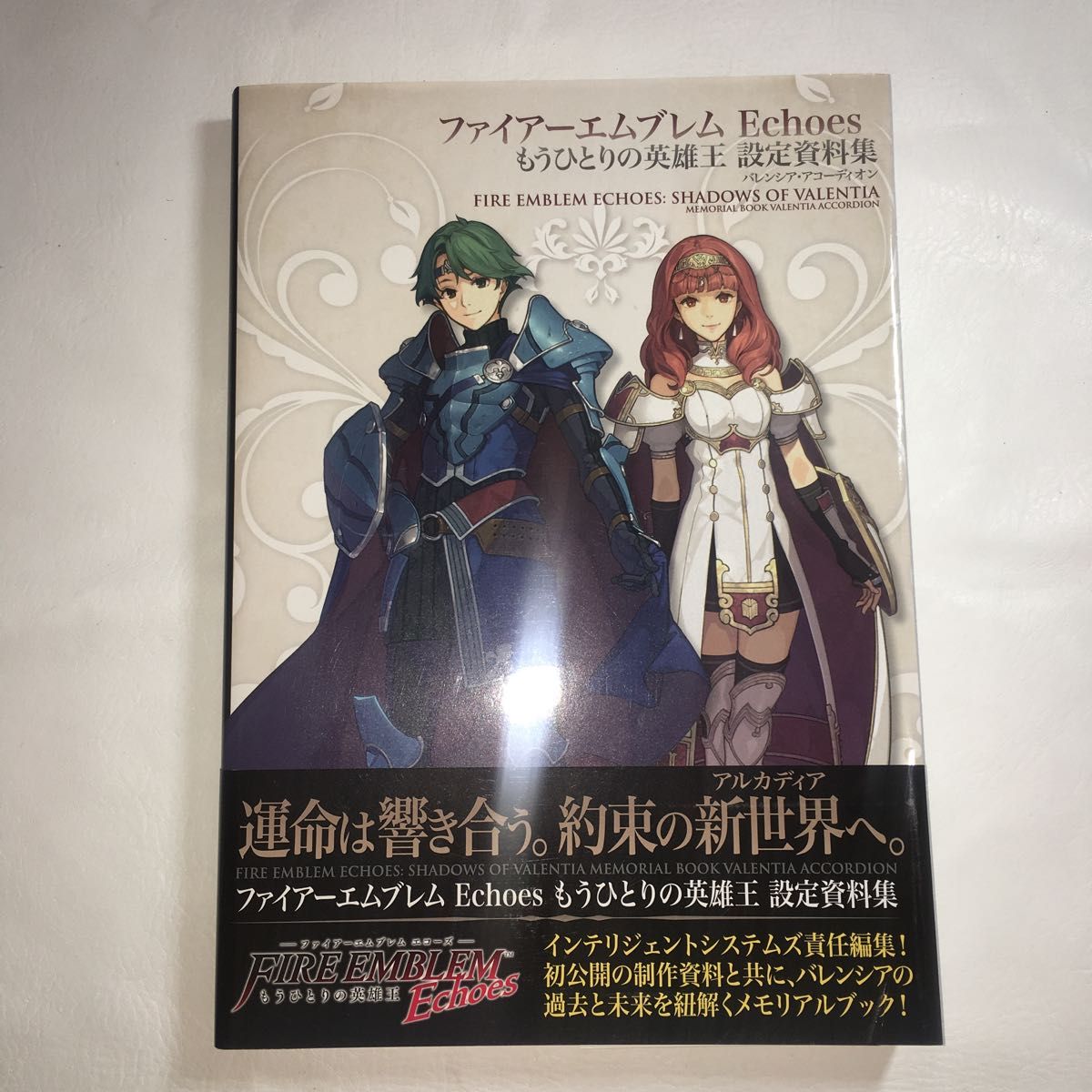 設定資料集 ファイアーエムブレムEchoesもうひとりの英雄王 バレンシア