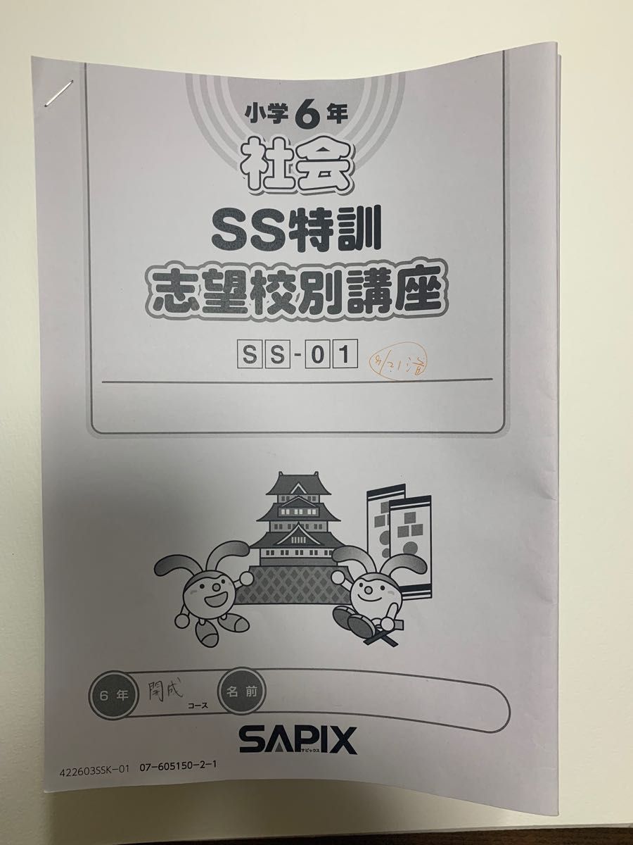 サピックス SAPIX 小学6 社会 SS特訓 サンデーサピックス 志望校別