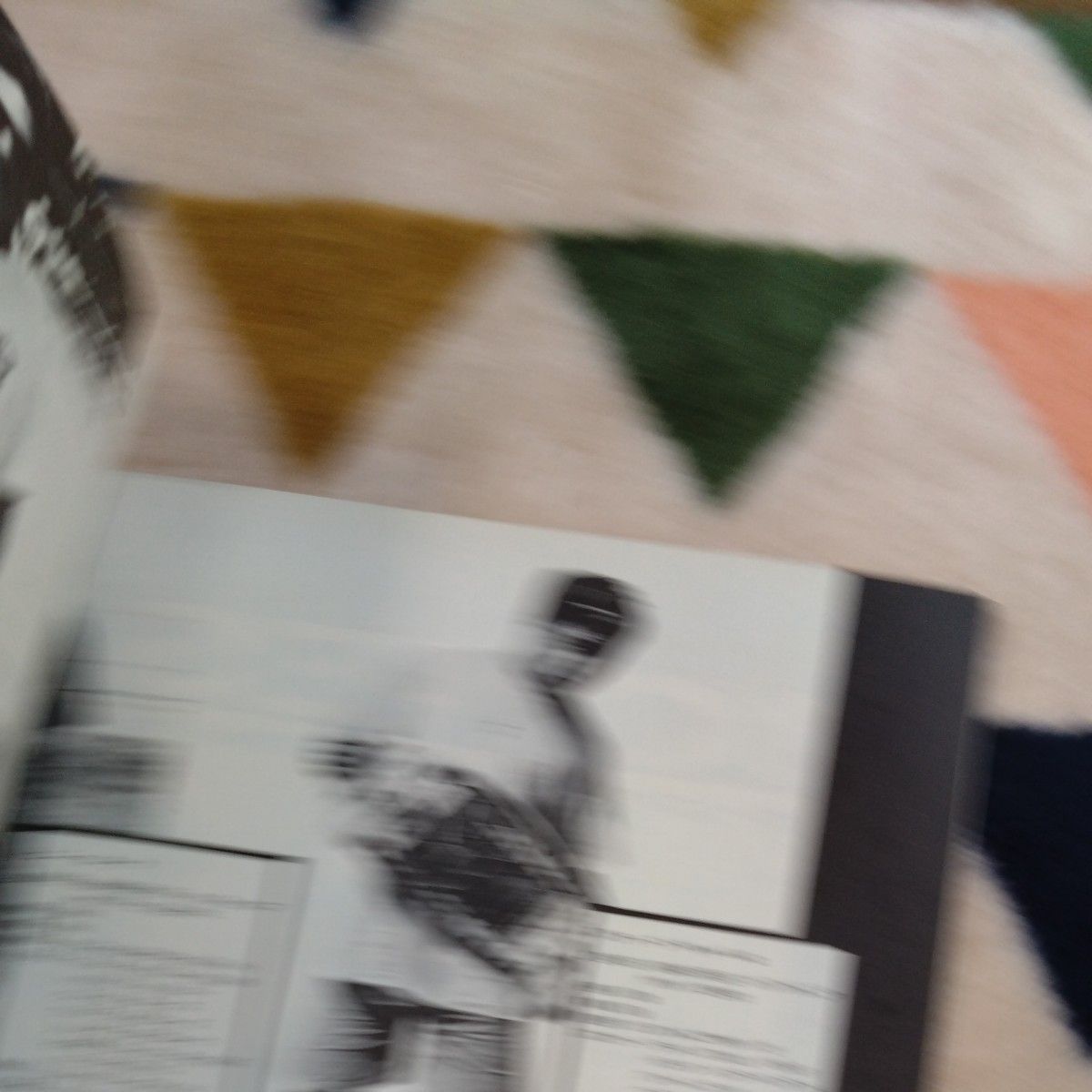 月刊宝島特別編集 ラジカルスケートブック特別版 RADICAL SKETE BOOK 1