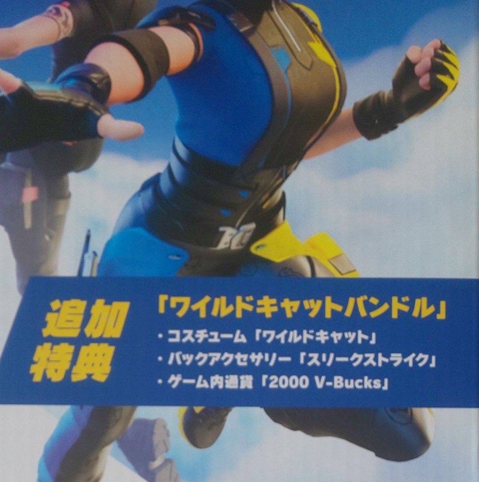 未使用】Nintendo Switch フォートナイトSpecialセット 追加特典