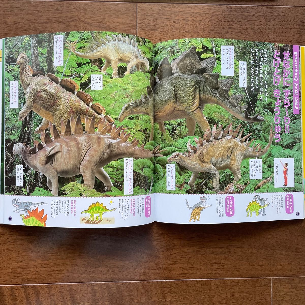 学研 スーパーワイド ずかん 12冊セット｜Yahoo!フリマ（旧PayPayフリマ）