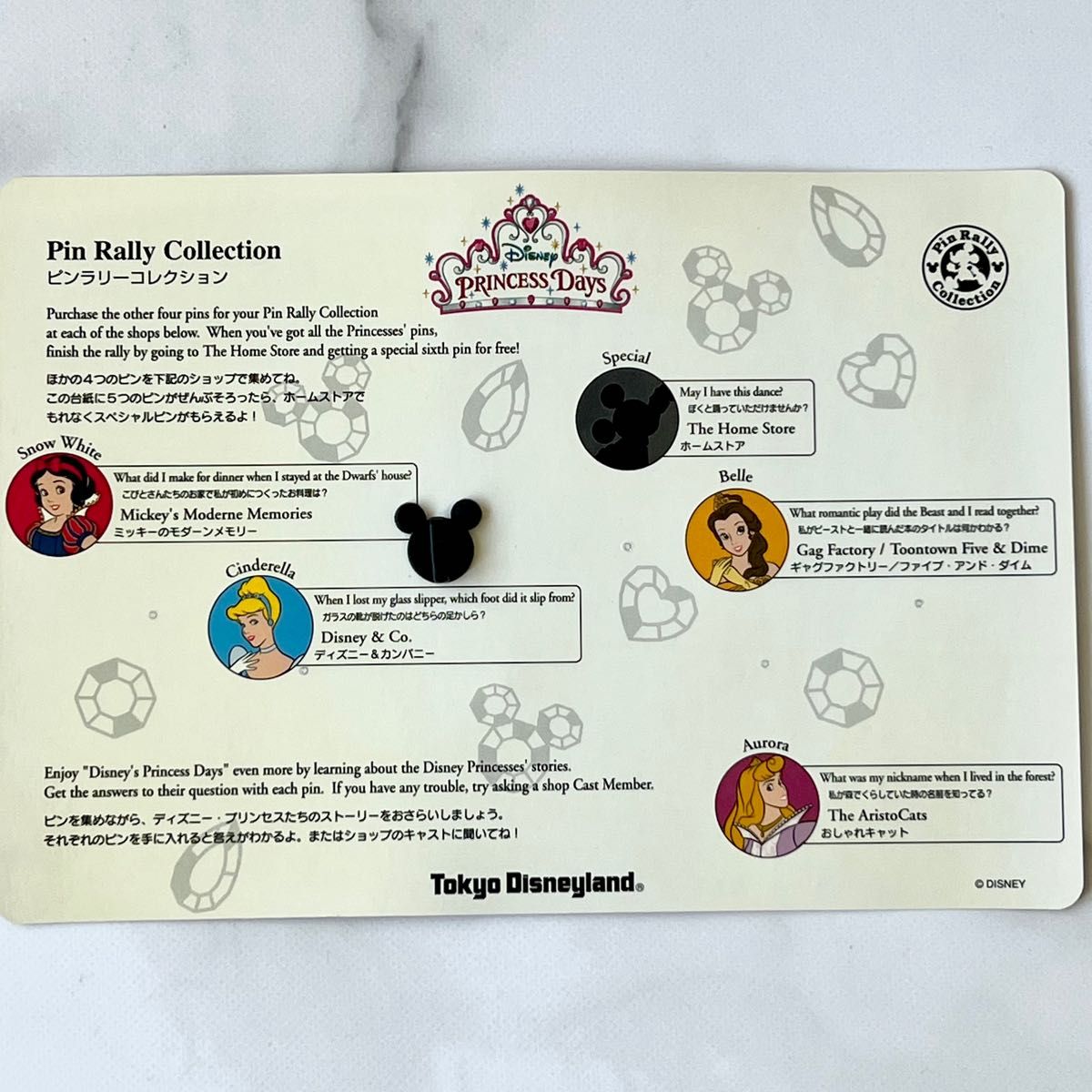 ディズニー ピンバッジ PinCollecting プリンセス 額入り 【公式通販】