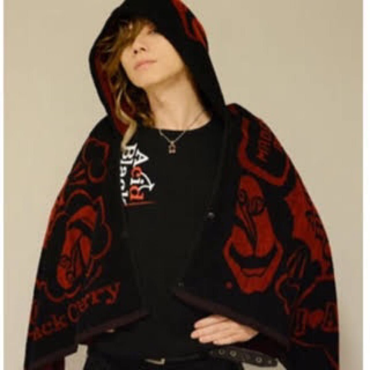 本日限定値下げ Acid Black Cherry アシッドブラックチェリー フード