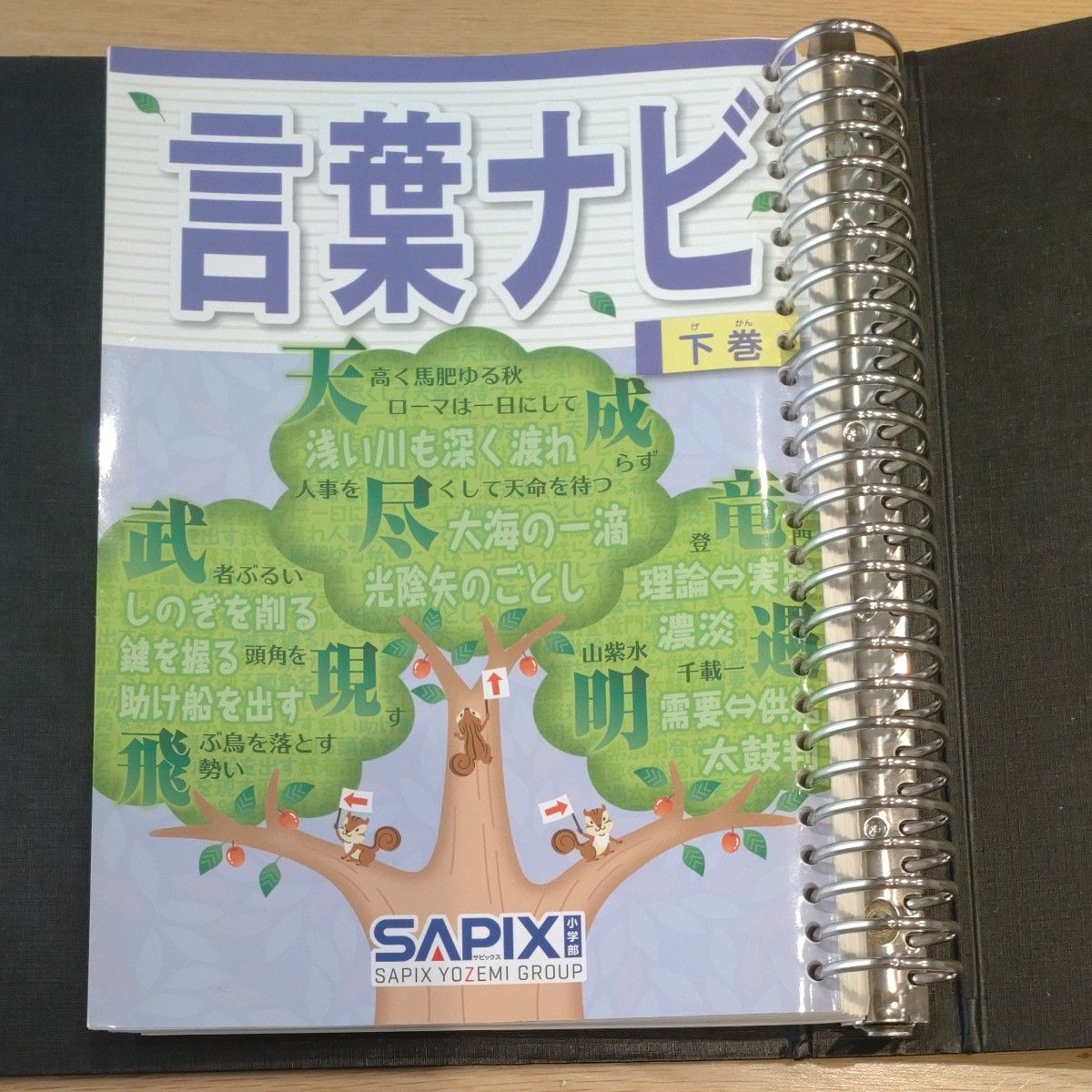 言葉ナビ SAPIX 下巻｜Yahoo!フリマ（旧PayPayフリマ）