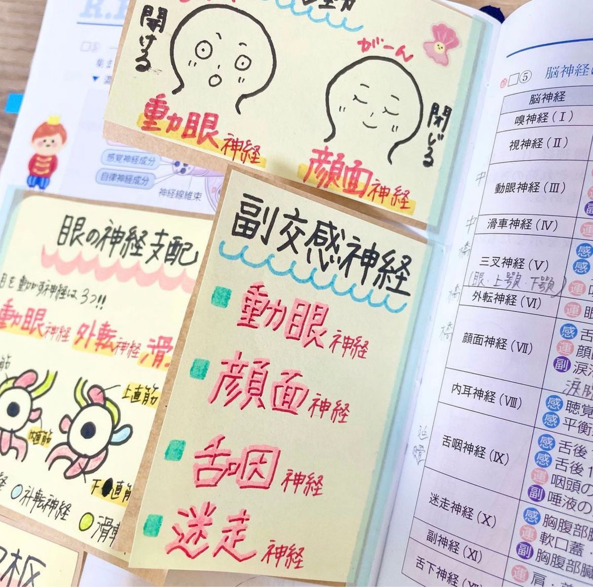 看護師国家試験 付箋ノート｜Yahoo!フリマ（旧PayPayフリマ）