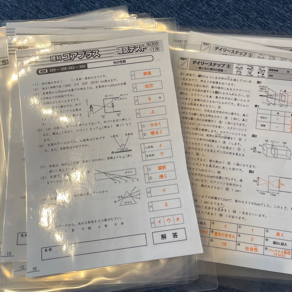 小5理科91枚】＆【小5社会29枚】SAPIX 暗記 デイリーステップ コア