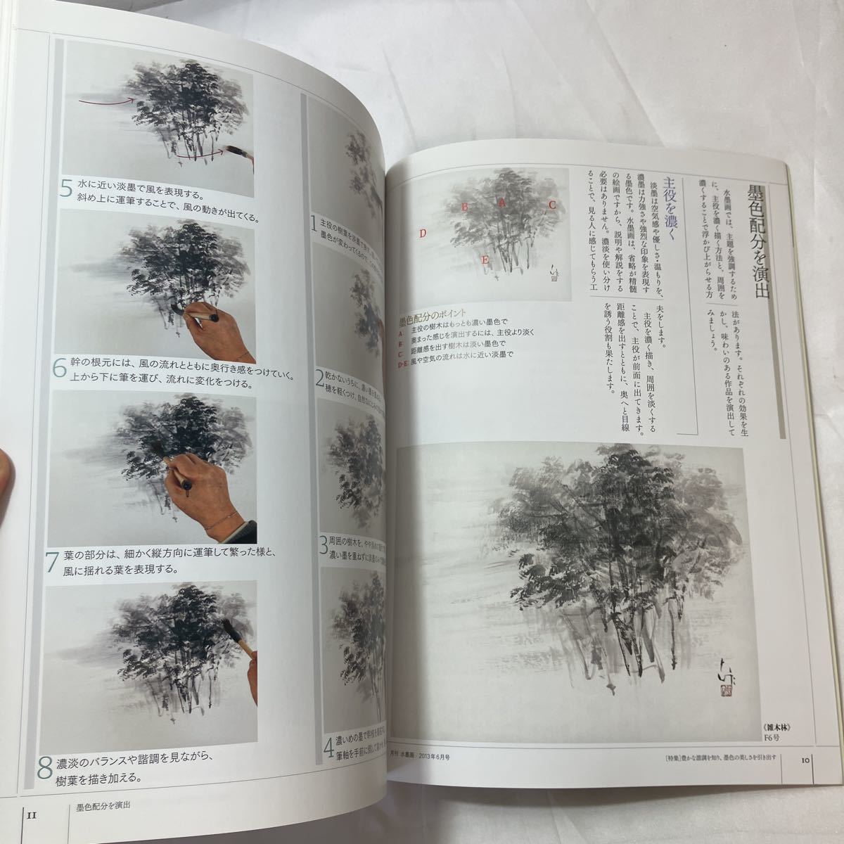 zaa-502 月刊水墨画2013年6月号 【特集】豊かな諧調を知り 墨色の美