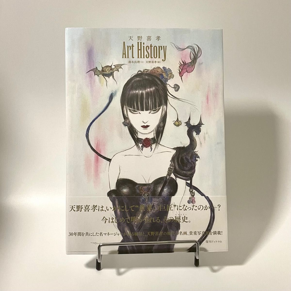 天野 天野 喜孝先生の直筆イラストサイン入り色紙 喜孝先生の直筆